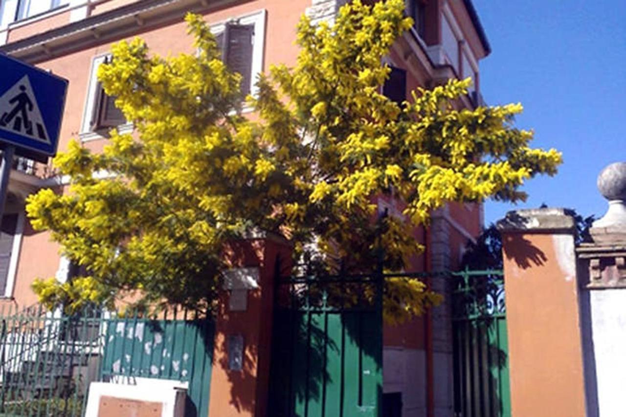 Garden Flat By Vatican Walls Rome Buitenkant foto